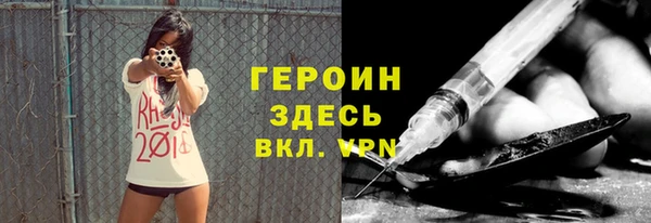 хмурый Аркадак