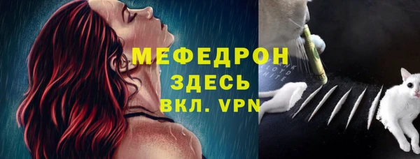 хмурый Аркадак