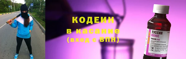 хмурый Аркадак