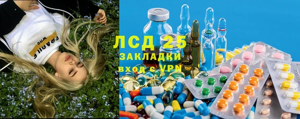мяу мяу мука Арсеньев