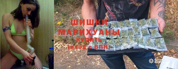 хмурый Аркадак