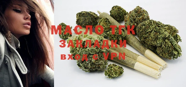 хмурый Аркадак