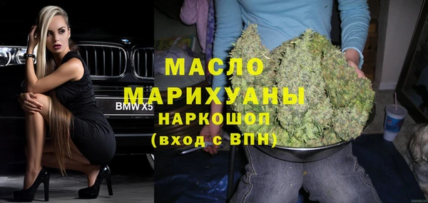 хмурый Аркадак