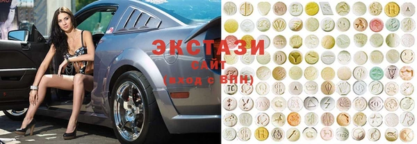 хмурый Аркадак