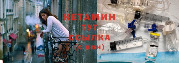 хмурый Аркадак