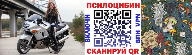 Галлюциногенные грибы мухоморы  где купить наркоту  Ясный 